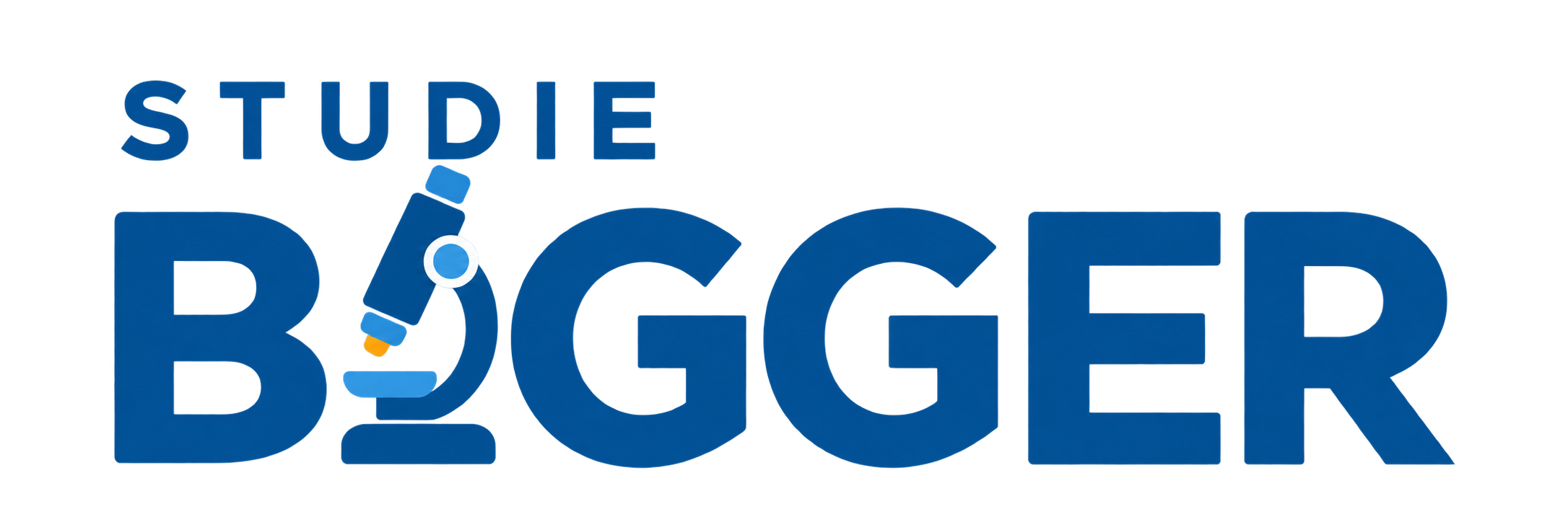 Studie BIGGER